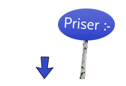 flyttstädning Furuby